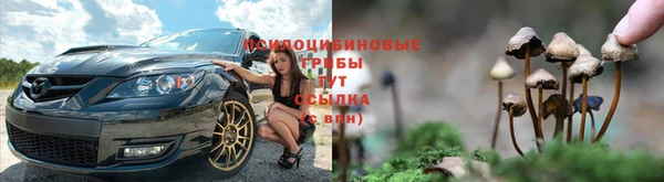 соль ск Абдулино