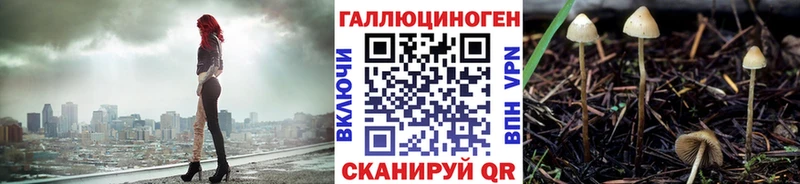 купить наркоту  Чегем  Галлюциногенные грибы MAGIC MUSHROOMS 